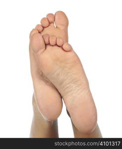 Female feet on a white background