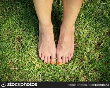 female feet with multi colored pedicure on the green grass