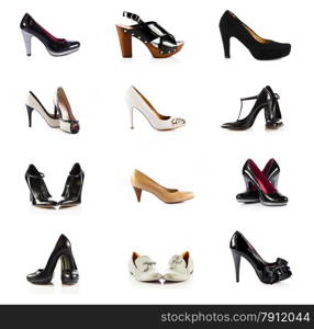 female footwear. female shoes over white. Collection of various types of female shoes