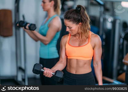 Female Friends Exercising with Weights in The Modern Gym. Friends Exercising with Weights in the Gym