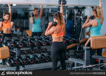 Female Friends Exercising with Weights in The Modern Gym. Friends Exercising with Weights in the Gym
