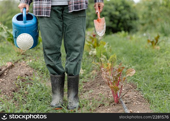 Female gardener concept a gardener holding the blue watering can and metal shovel standing among evergreen vegetable field with a variety of plants.