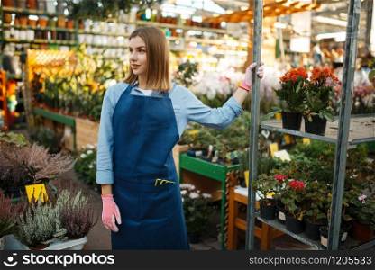 Female gardener in gloves and apron, home flowers sale, shop for gardening. Woman sells plants in florist store, seller. Female gardener, home flowers sale, gardening