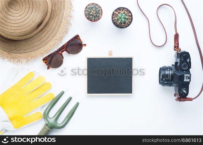 Female gardener items with cactus and camera, Flay lay style