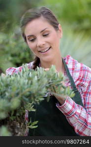 female gardener next to tree in plants store