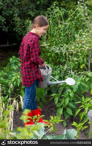 Female gardener watering garden bed with ripe vegetables