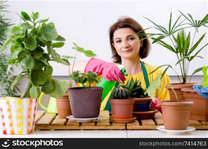 Female gardener with plants indoors 