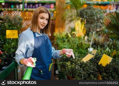 Female gardener with shovel takes care of plants in shop for gardening. Woman in apron sells flowers in florist store. Female gardener with shovel, shop for gardening