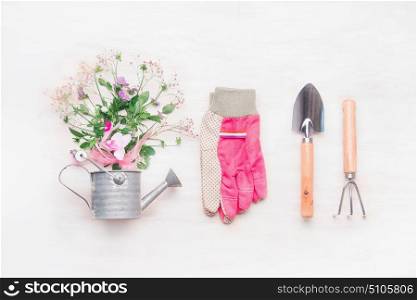 Female Gardening workspace, garden tools with flowers in watering can on white wooden background, top view, flat lay