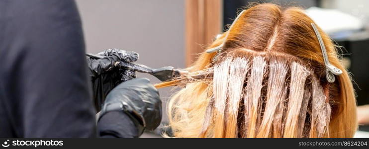 Female hairdresser dyeing hair of young caucasian woman in hair salon. Hairdressers dyeing hair of woman