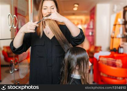 Female hairstylist runs the comb, woman in hairdressing salon. Hairstyle making in beauty studio