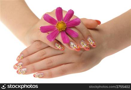 Female hand and flower. Nails with figure of a camomile
