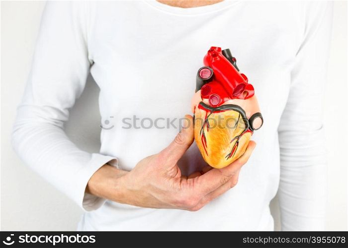 female hand holding human heart model in front of body