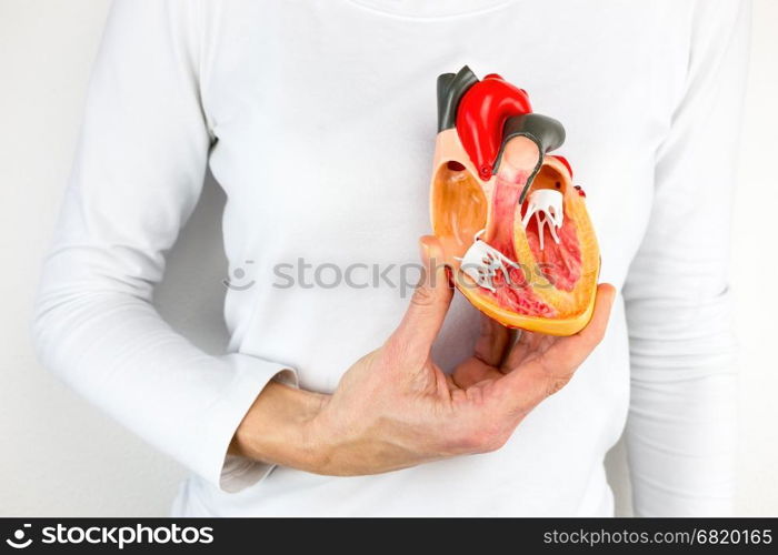 Female hand holding open human heart model at body