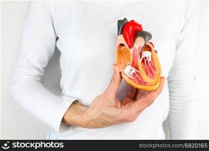 Female hand holding open human heart model at body