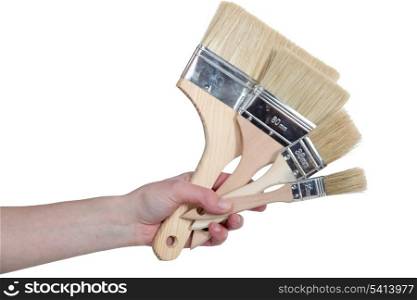 female hand holding out brushes