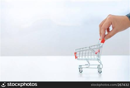 female hand holding shopping cart trolley