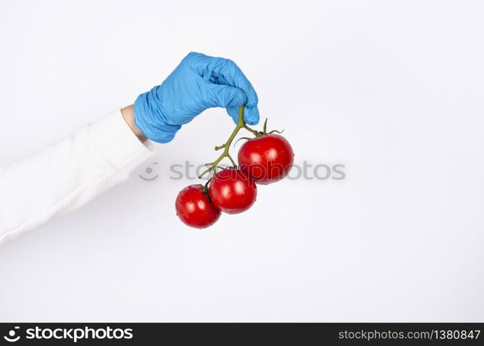 Female hand in disposable glove holds branch of ripe red tomatoes. Hygiene in the kitchen concept. Copy space. Female hand in disposable glove holds branch of ripe red tomatoes.