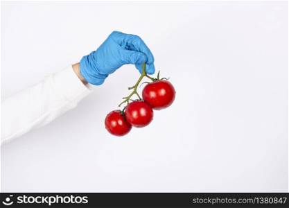 Female hand in disposable glove holds branch of ripe red tomatoes. Hygiene in the kitchen concept. Copy space. Female hand in disposable glove holds branch of ripe red tomatoes.