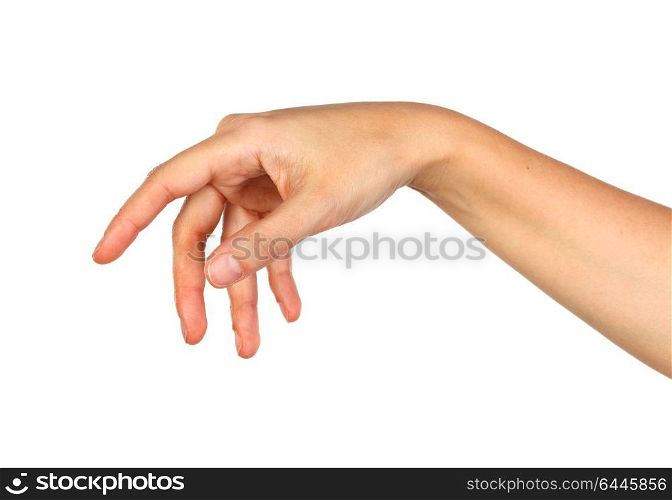 Female hand isolated on a white background