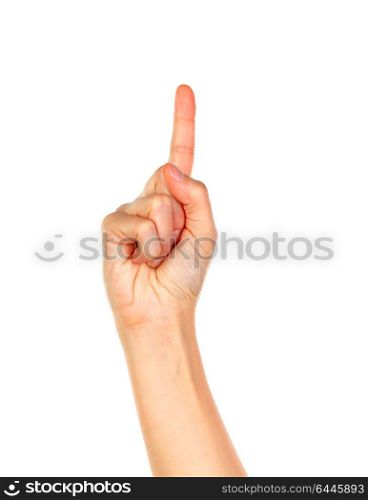 Female hand isolated on a white background