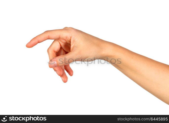 Female hand isolated on a white background