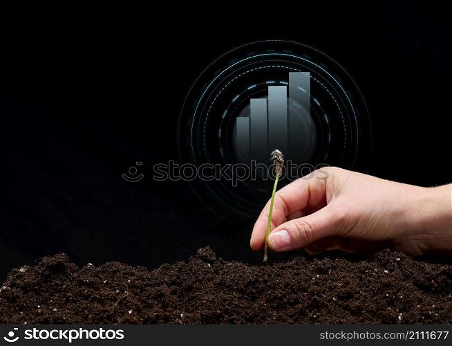 female hand plants a sprout in the ground and a holographic graphic on a black background. Business start-up concept, performance growth. Profitable new startup