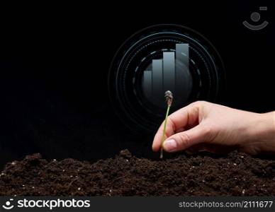 female hand plants a sprout in the ground and a holographic graphic on a black background. Business start-up concept, performance growth. Profitable new startup