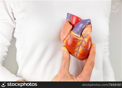 Female hand showing artificial heart model in front of body