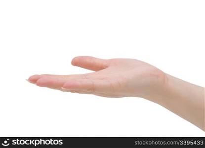 female hand stretched out with the palm up against white background as if it offers something