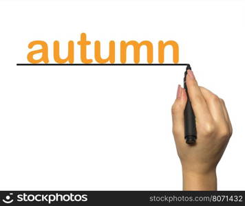 female hand with a marker on a white background