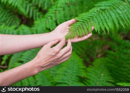 Female hand, with long graceful fingers gently touches the plant, leaves of fern. Close-up shot of unrecognizable person. High quality image.. Female hand, with long graceful fingers gently touches the plant, leaves of fern. Close-up shot of unrecognizable person.