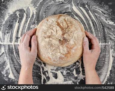 female hands holding round baked bread on a table with flour, top view