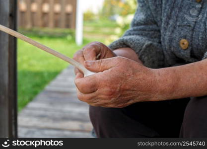 female hands peel garlic. old woman peels raw garlic in the rarden. female hands peel garlic. old woman peels raw garlic in rarden