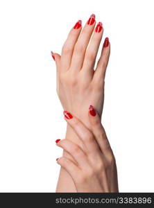 Female hands with French manicure. It is isolated on a white background