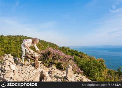 Female hiker collects wild Sage on cliff overlooking the sea. On a trail within the nature reserve of the cliffs of Duino, Trieste, Italy.