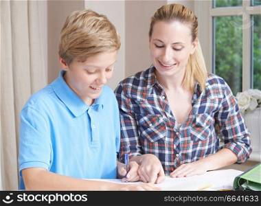 Female Home Tutor Helping Boy With Studies