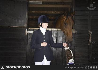 Female horseback rider with horse and dog in stable