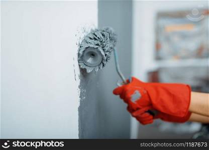 Female house painter hand with paint roller against the wall. Home repair, laughing woman doing appartment renovation, room renovation. Female house painter hand with paint roller