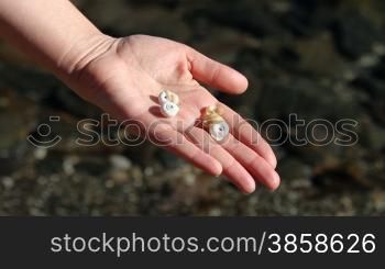 Female human hand opening and showing collected water snails