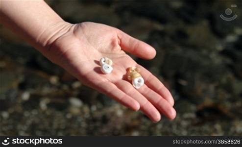 Female human hand opening and showing collected water snails