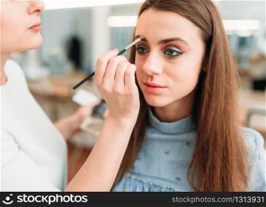 Female make up artist work with beautiful woman face, beauty studio on background. Cosmetic salon. Female make up artist work with woman face