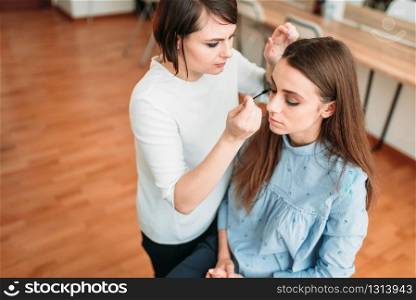 Female make up artist work with beautiful woman face, beauty studio on background. Cosmetic salon. Female make up artist work with woman face