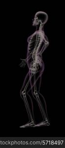 Female medical skeleton with backache