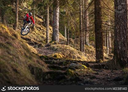Female mountain biker riding down forest steps