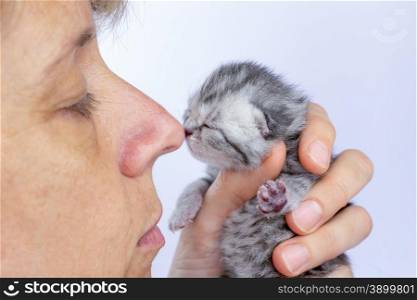 Female nose touching nose of young newborn cat isolated on grey background