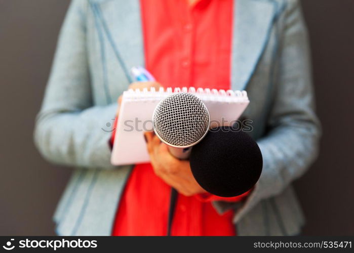 Female reporter at news conference, writing notes, holding microphone