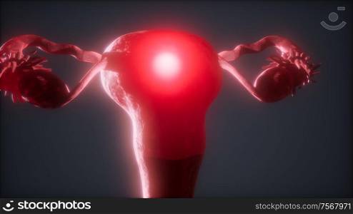 Female Reproductive System Anatomy animation. Female Reproductive System Anatomy