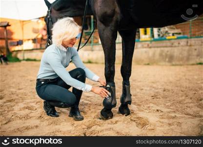 Female rider prepair her brown horse to walk. Equestrian sport, young woman and beautiful stallion