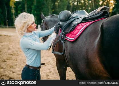 Female rider preparing a horse saddle, horseback riding. Equestrian sport, young woman and beautiful stallion, farm animal. Female rider preparing a horse saddle,